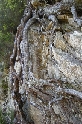 2011-10-12_Punta d'Arghjavara